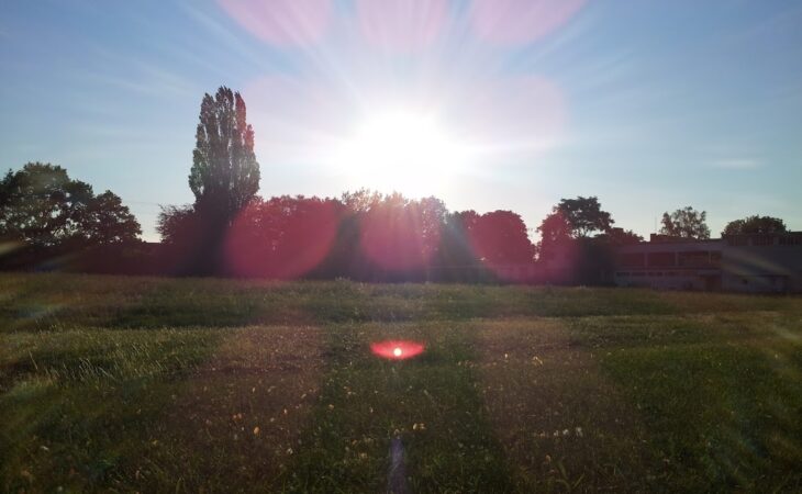 Versteckspiel mit dem Sommer Image