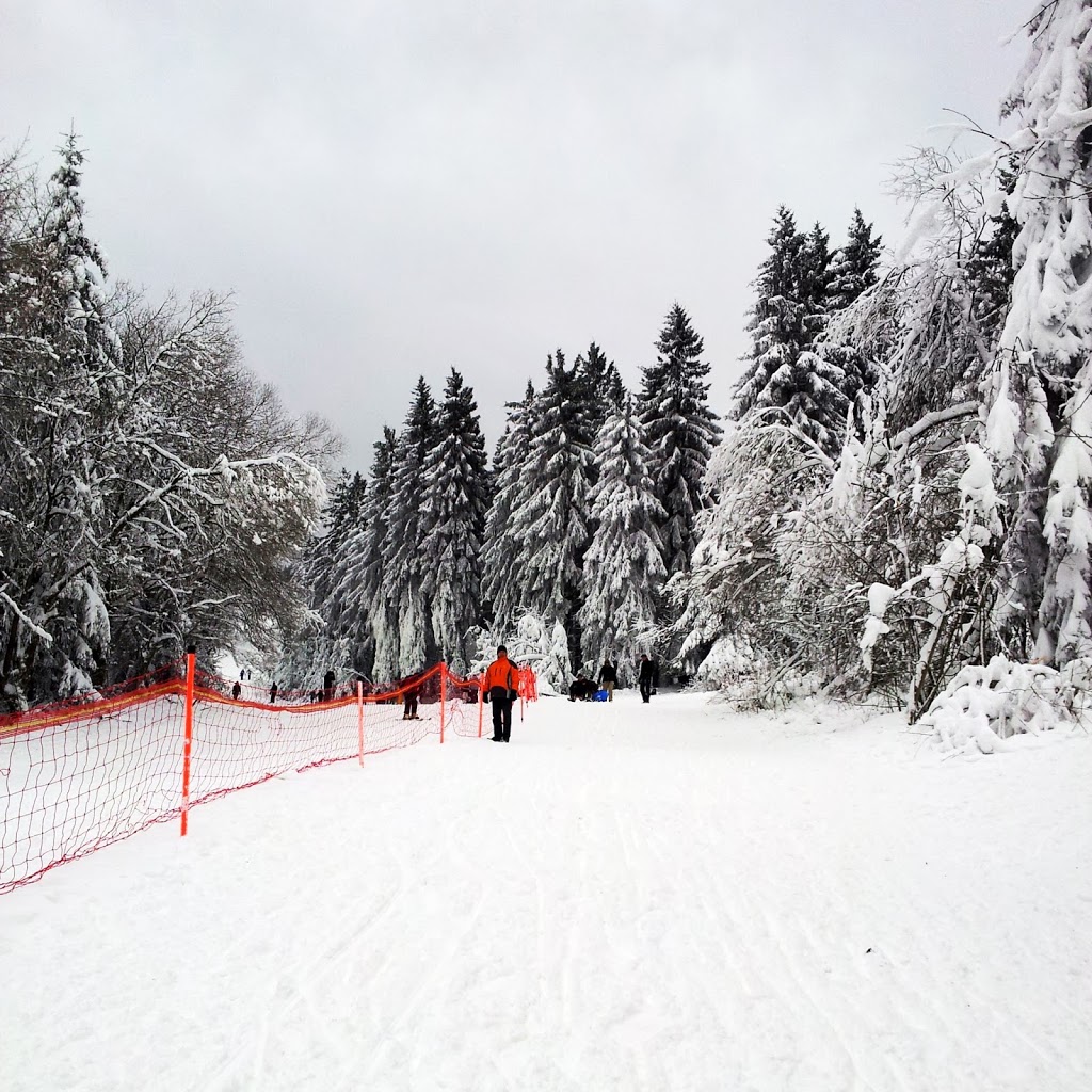 Schlittenfahren im Harz Image