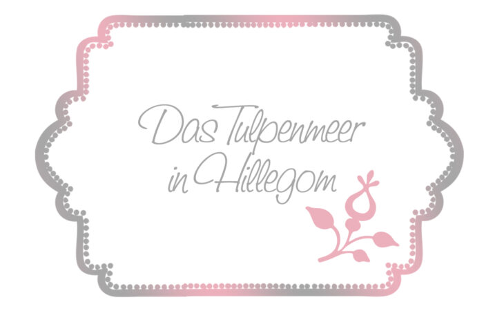 Das Tulpenmeer in Hillegom Image